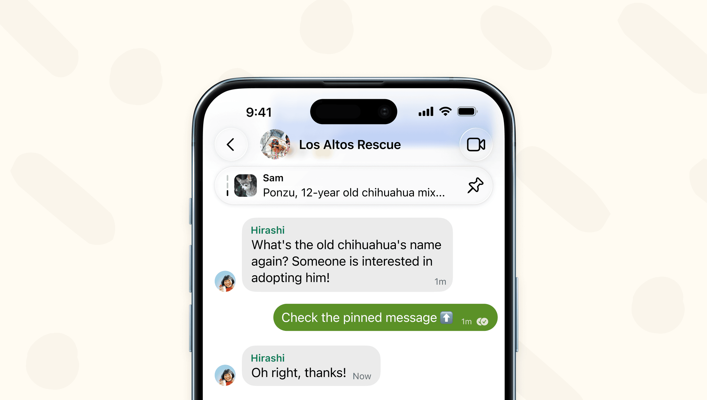 A screenshot of a group chat displaying a pinned message at the top of the thread.